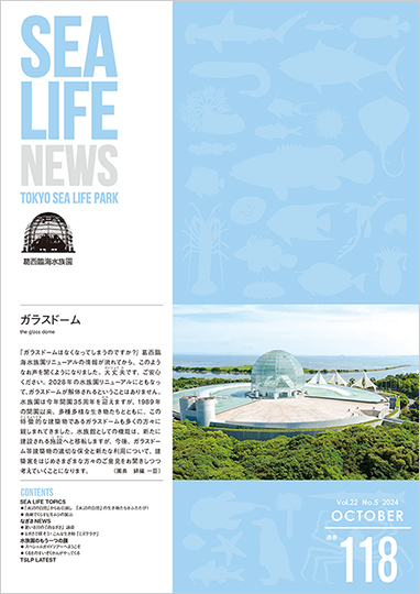 通巻118表紙