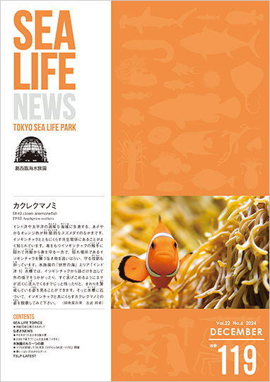 通巻119表紙
