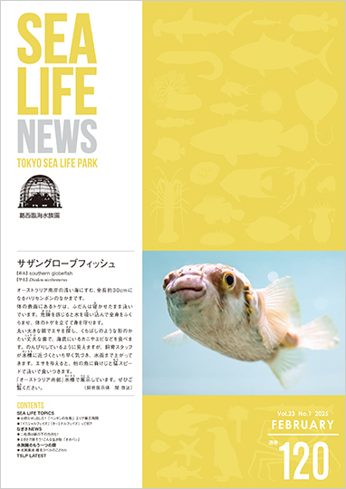 通巻120表紙
