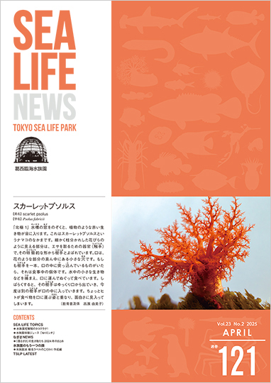 通巻121表紙