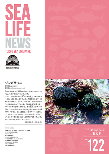通巻122表紙