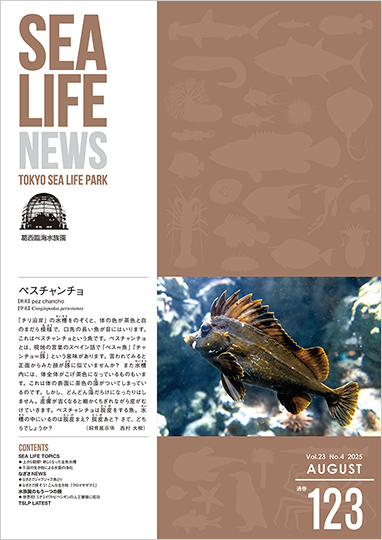 通巻123表紙