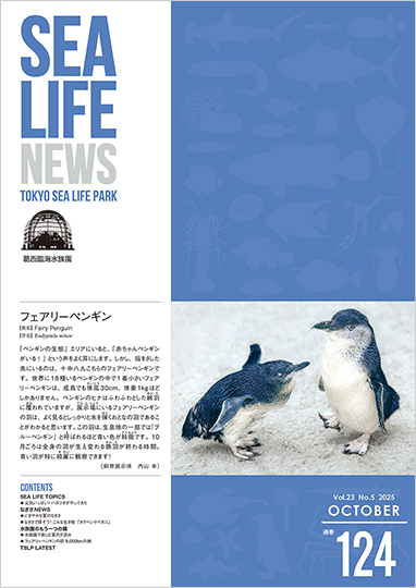 通巻124表紙