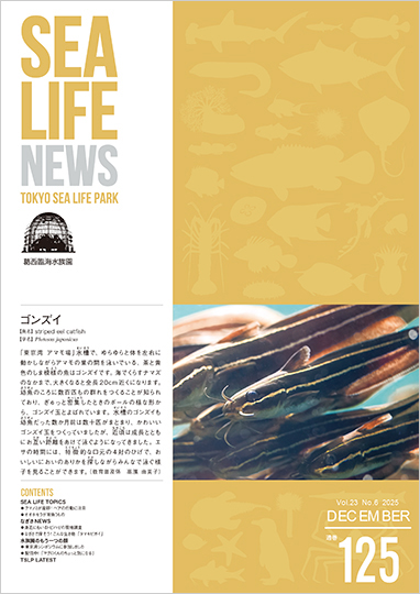 通巻125表紙