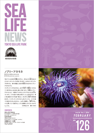 通巻126表紙
