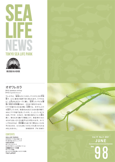 通巻98表紙