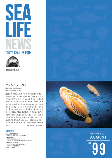 通巻99表紙
