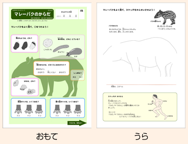 例：マレーバクのからだ