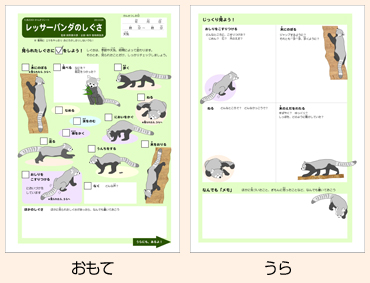 例：レッサーパンダのしぐさ