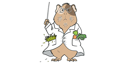 モルモット博士