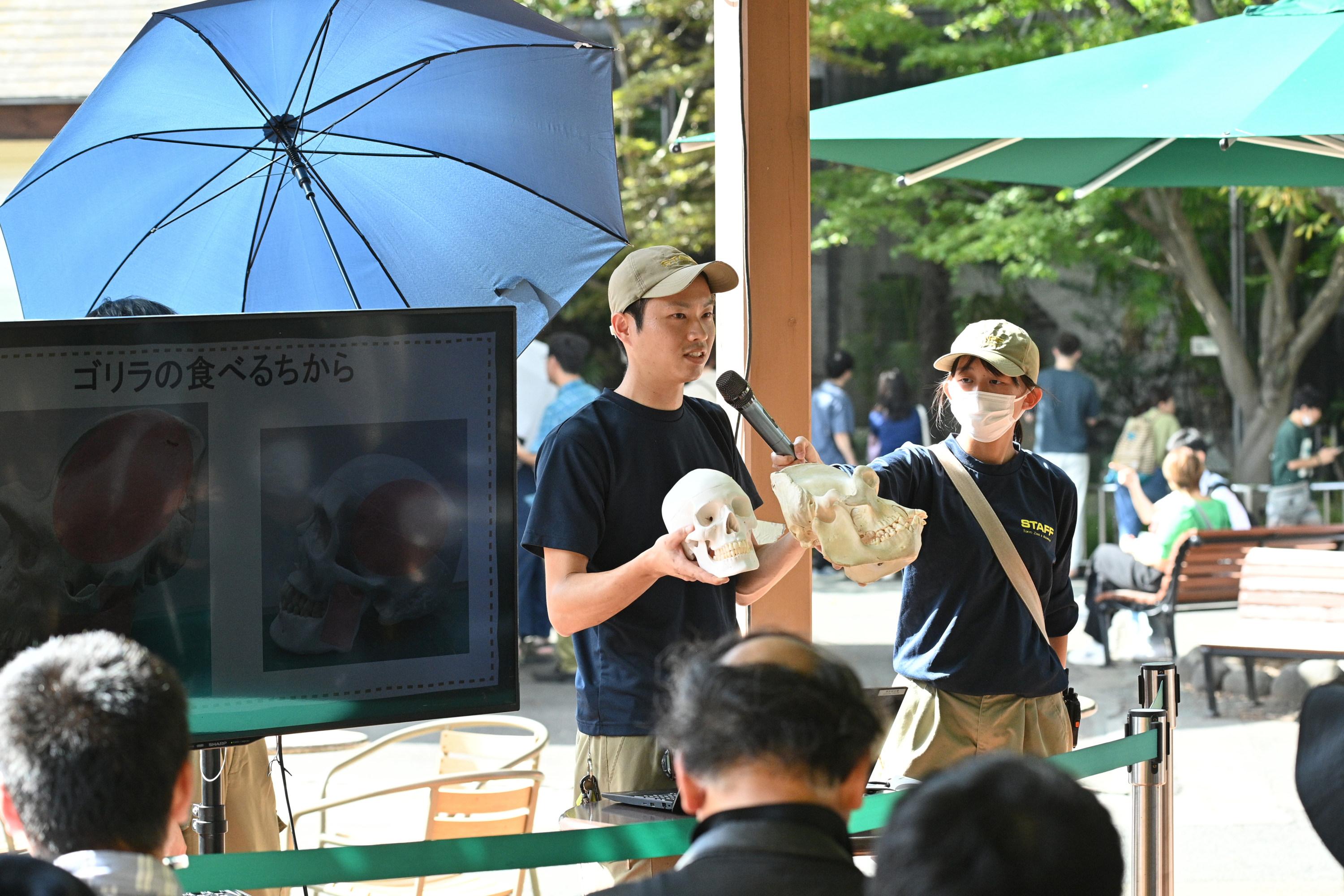 環境教育や保全の普及啓発