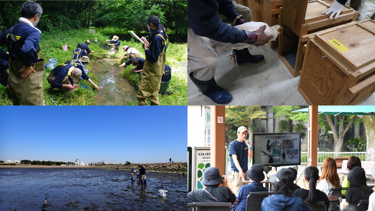 保全プロジェクト