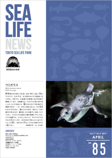 通巻85表紙