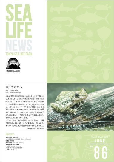 通巻86表紙