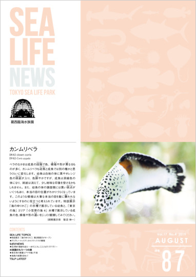 通巻87表紙