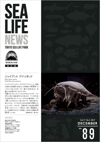 通巻89表紙