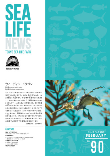 通巻90表紙