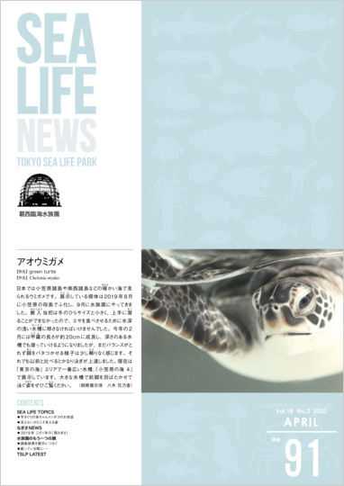 通巻91表紙
