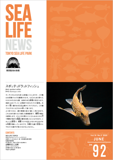 通巻92表紙