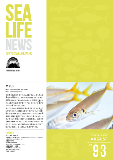 通巻93表紙