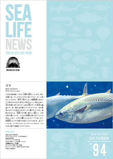 通巻94表紙