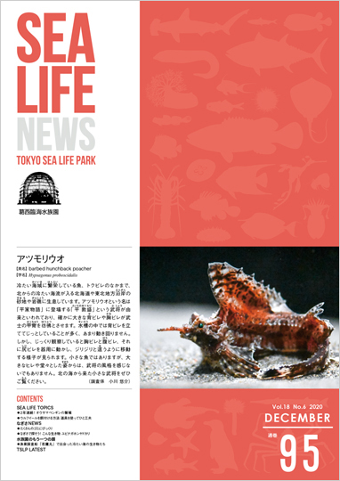 通巻95表紙