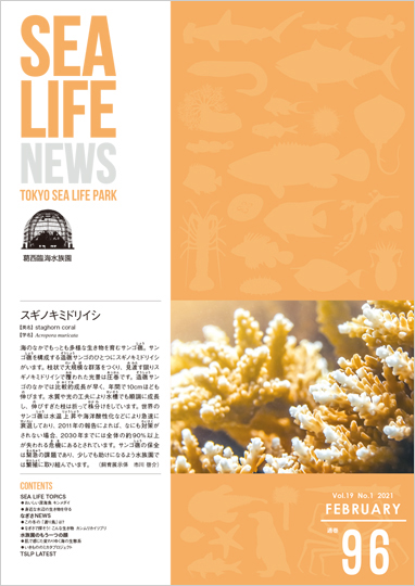 通巻96表紙