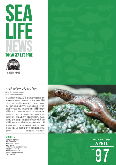 通巻97表紙