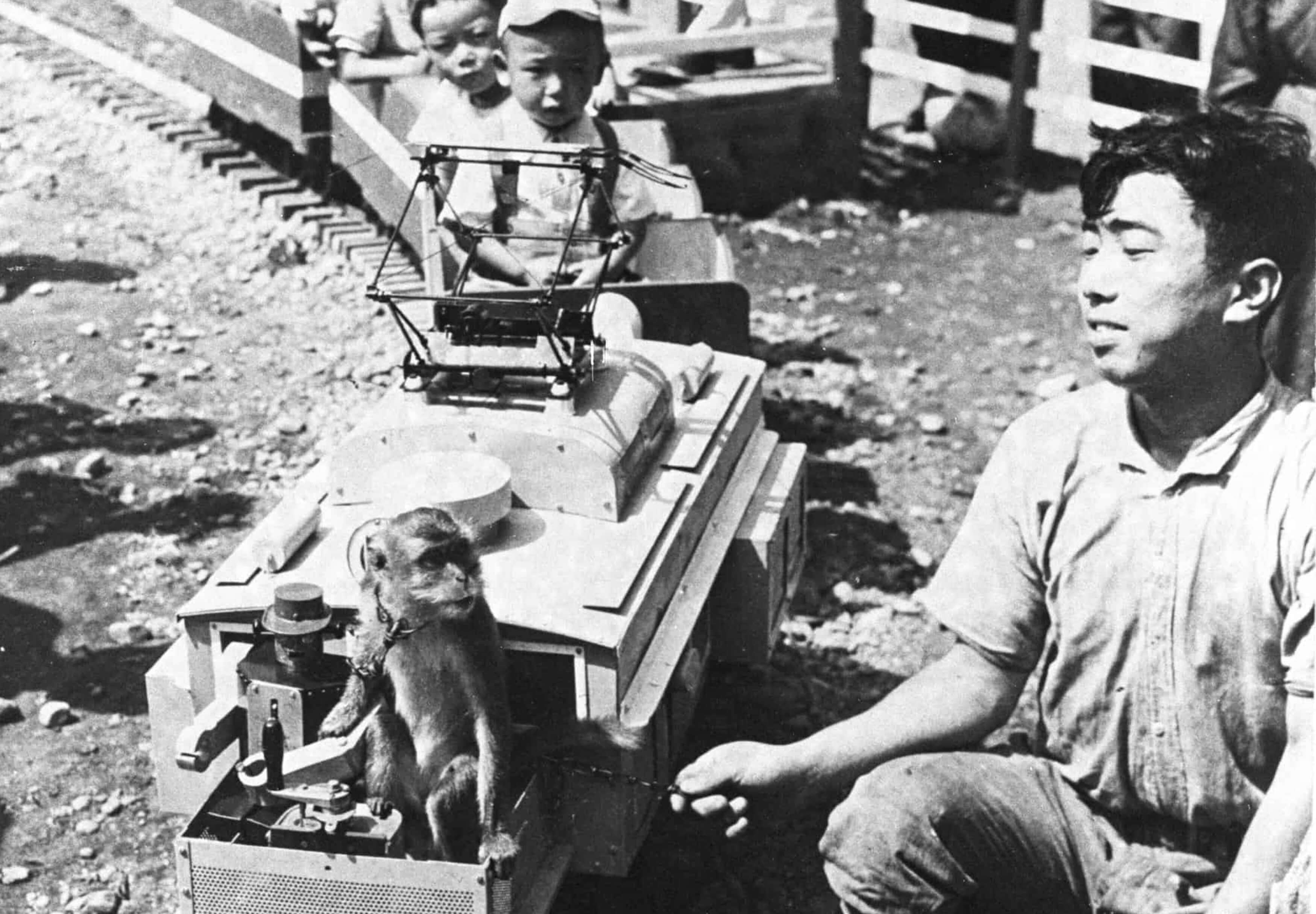 子ども動物園の写真
