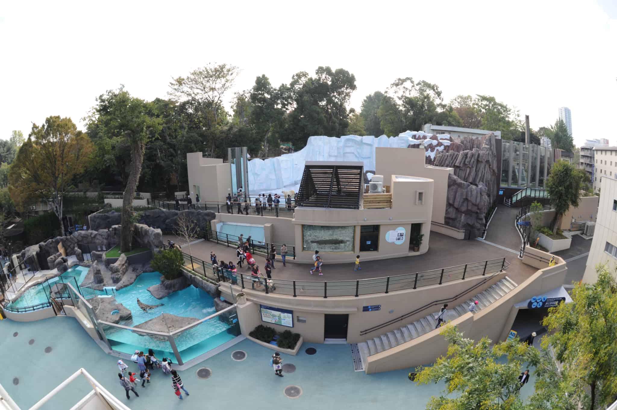 ホッキョクグマとアザラシの海