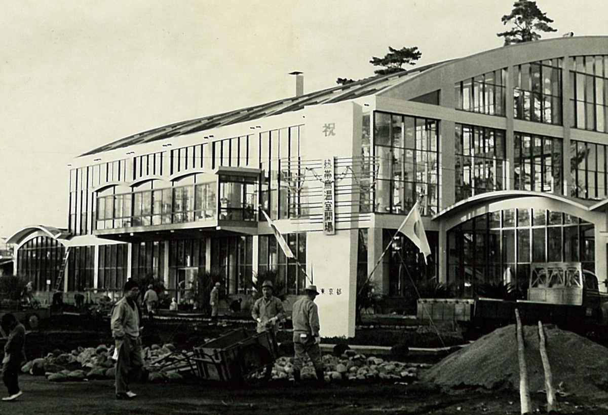 熱帯鳥温室の工事のようす