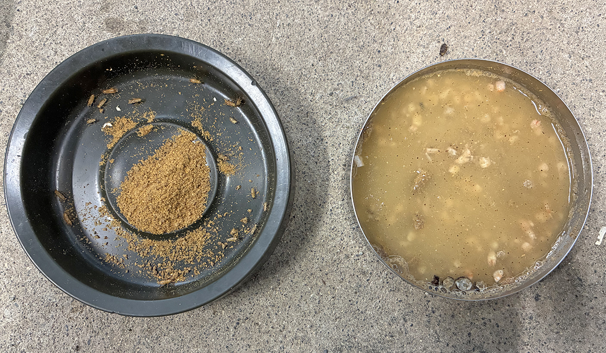 左：粉末状にしたトキペレットとレッドローチ。右：粉末状にしたトキペレットとオキアミを入れた水