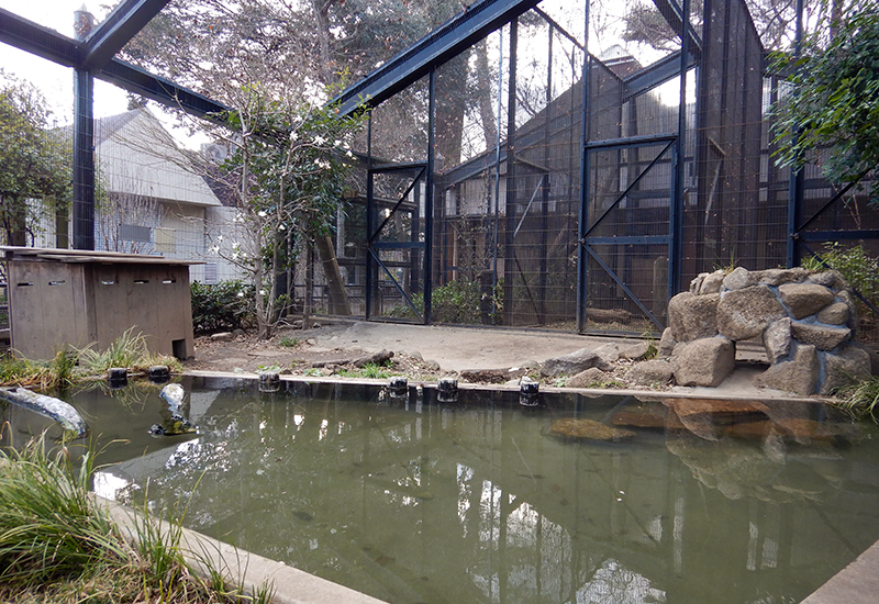 左側に木製の巣箱、右側に岩組みの巣穴がある展示場