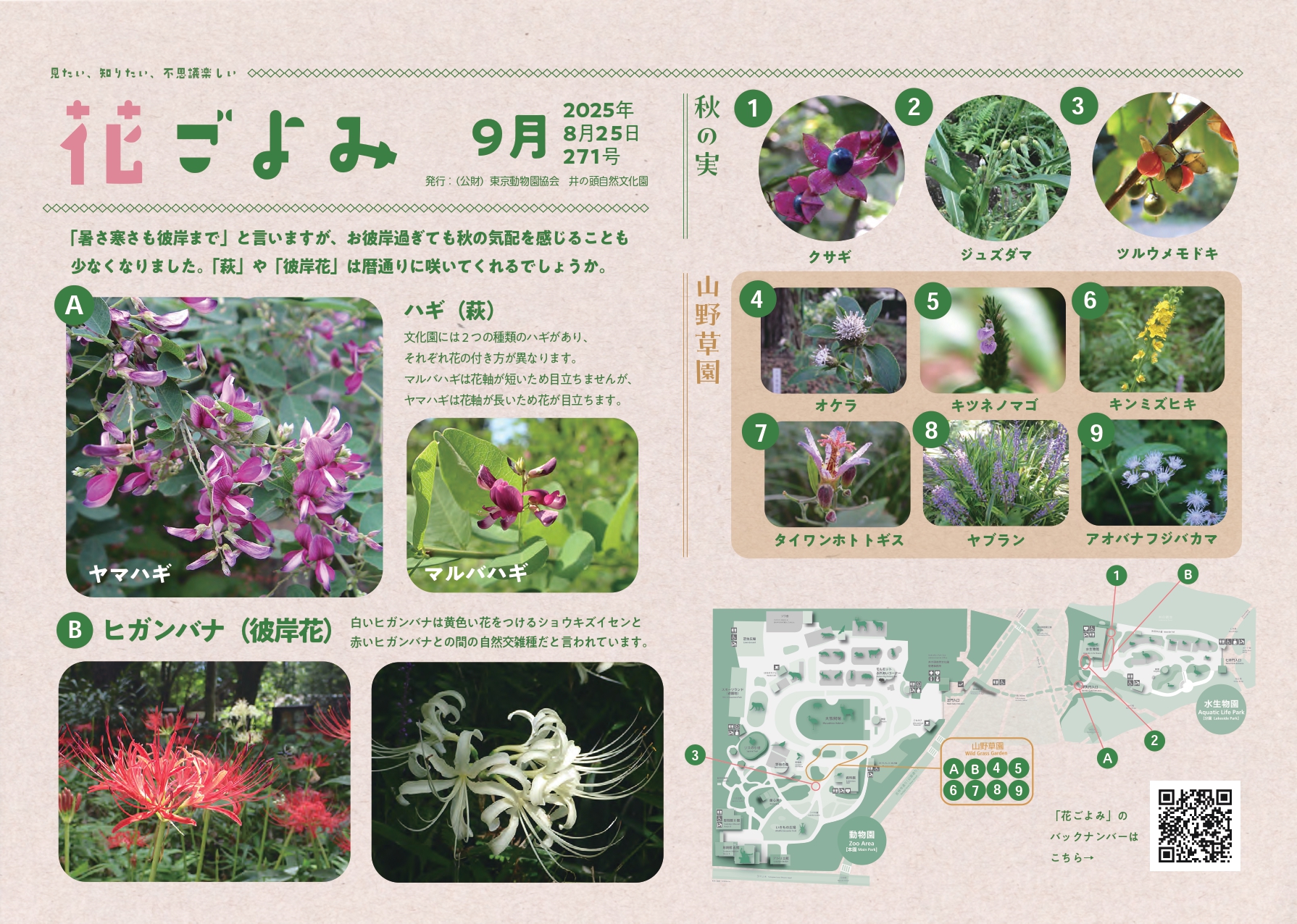 ハギやヒガンバナ