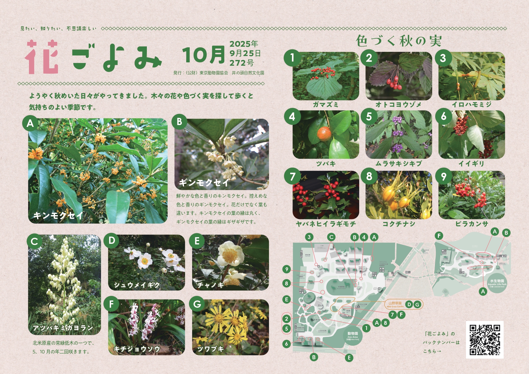 木々の花や色づく実