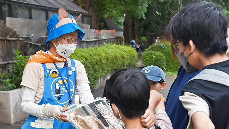 ヤマネコガイド