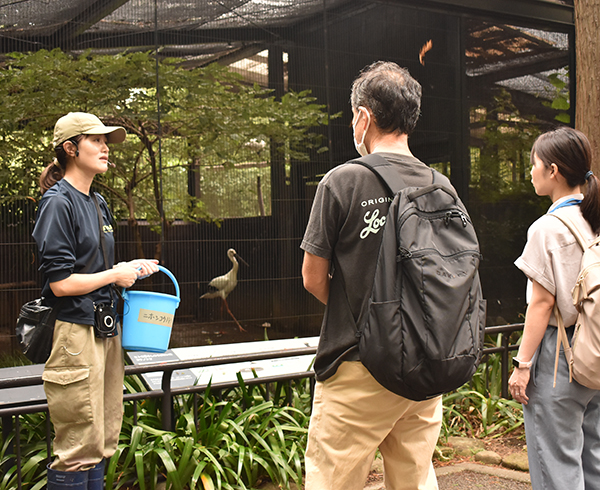 飼育係のいきものガイド