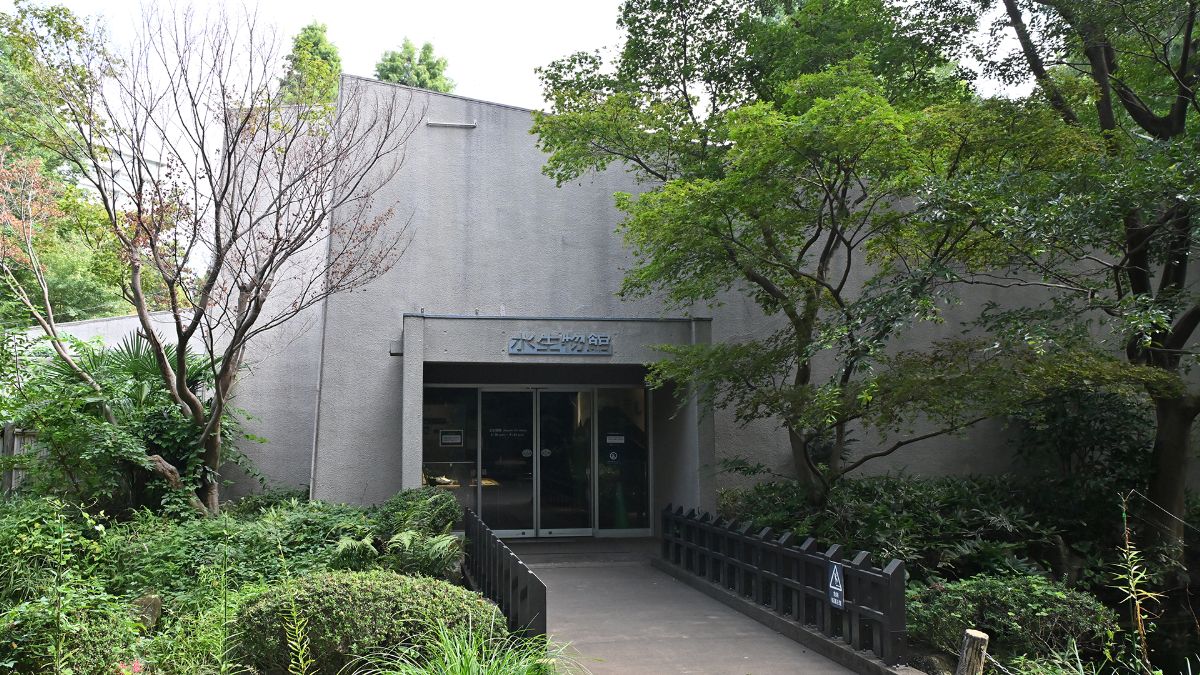 水生物館