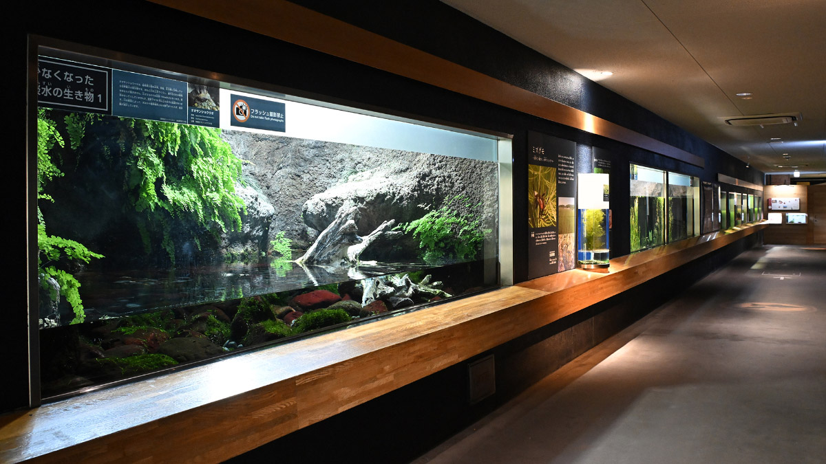 水生物館
