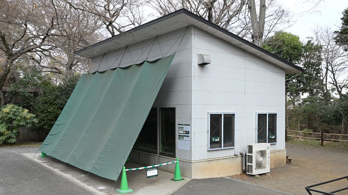 オオコウモリ舎