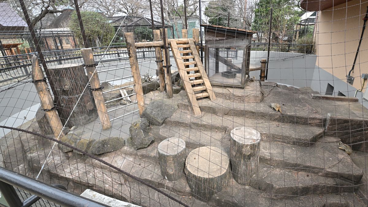 ミーアキャット舎