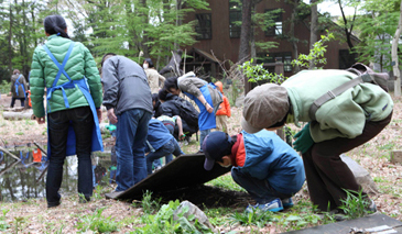 「いきもの広場」で職員やボランティアといっしょに生きものをさがす子どもたち