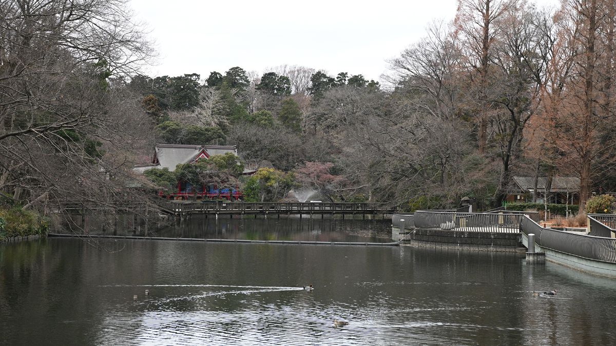 井の頭池