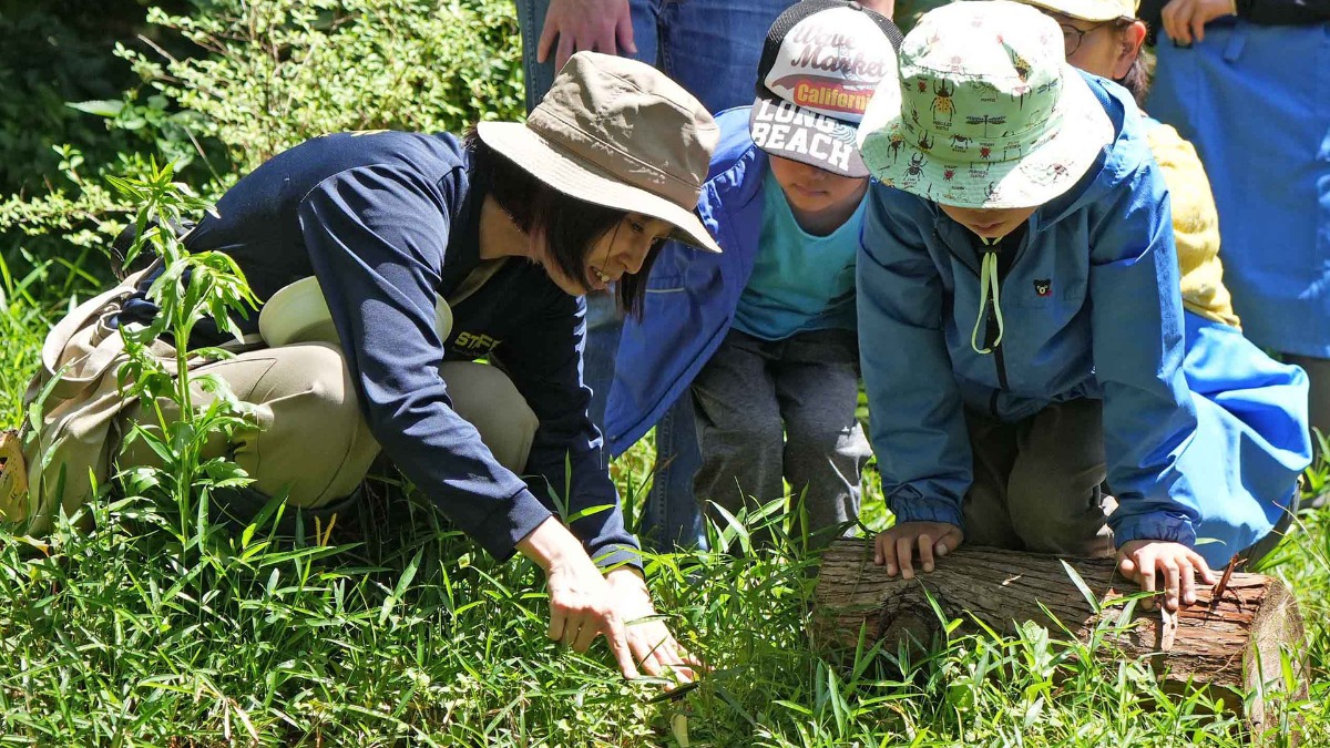 「いきもの広場」で職員やボランティアといっしょに生きものをさがす子どもたち