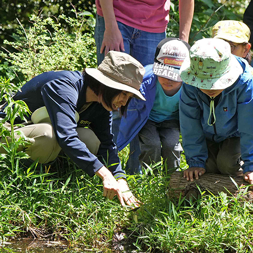 いきもの広場であそぼう