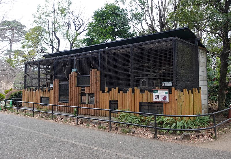 工事をおこなうヤマネコ舎（フェネック側）