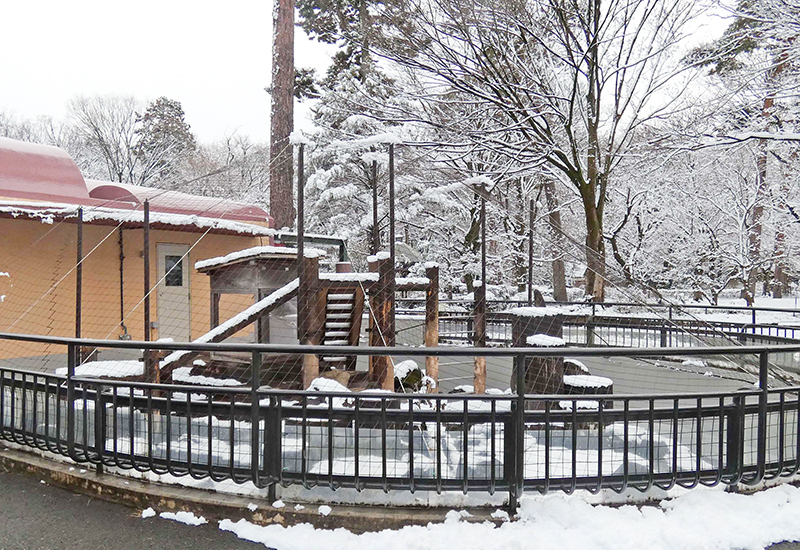 ミーアキャット展示場