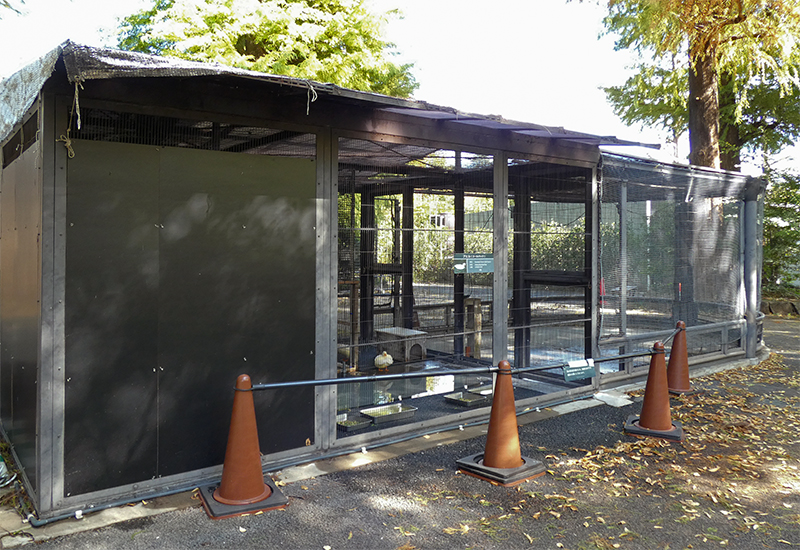 コールダック舎