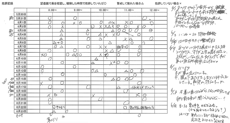 抱卵記録（一部抜粋）。30分～1時間おきに抱卵の有無を記録します