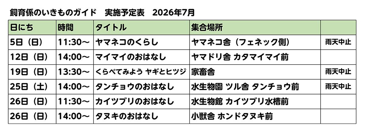 日にち、時間、ガイドのタイトル、集合場所、雨天中止の可否　が記載されている。 5日（日）11:30～ ヤマネコのくらし　ヤマネコ舎（フェネック側）　雨天中止。12日（日）14:00～ マイマイのおはなし　ヤマドリ舎 カタマイマイ前　雨天決行。19日（日）13:30～ くらべてみようヤギとヒツジ	家畜舎 雨天中止。25日（土）14:00～ タンチョウのおはなし 水生物園 ツル舎 タンチョウ前　雨天中止。26日（日）11:30～ カイツブリのおはなし　水生物館　カイツブリ水槽前　雨天決行。26日（日）14:00～ タヌキのおはなし　小獣舎 ホンドタヌキ前　雨天決行